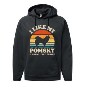 I Like My Pomsky And Maybe Like 3 People Dog Lover Retro Performance Fleece Hoodie