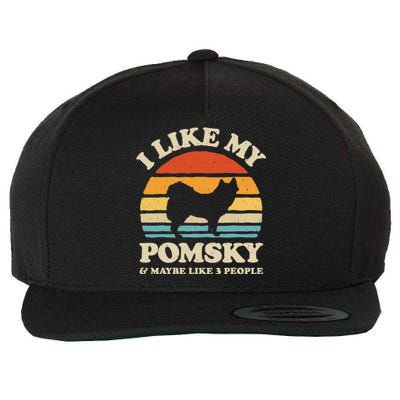 I Like My Pomsky And Maybe Like 3 People Dog Lover Retro Wool Snapback Cap