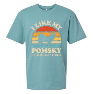 I Like My Pomsky And Maybe Like 3 People Dog Lover Retro Sueded Cloud Jersey T-Shirt