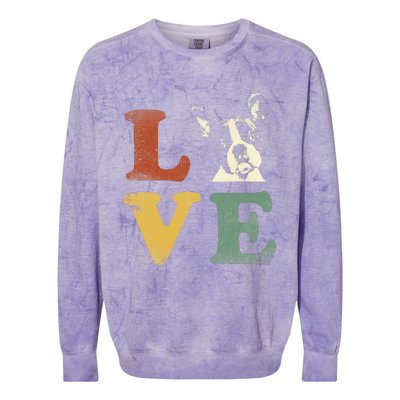 I Love My Boston Terrier For Dog Lovers Retro Colorblast Crewneck Sweatshirt