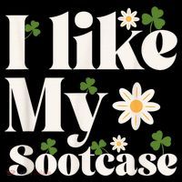 I Like My Suitcase Funny Sootcase Viral Meme Stripe Pom Pom Beanie