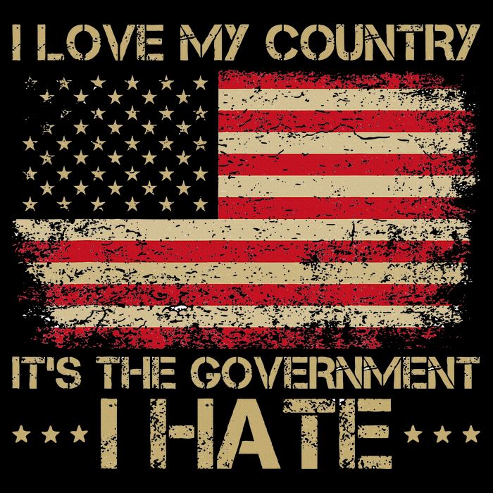 I Love My Country ItS The Government I Hate Vintage Womens T-Shirt