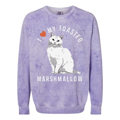 I Love My Toasted Marshmallow Flame Point Siamese Cat Colorblast Crewneck Sweatshirt