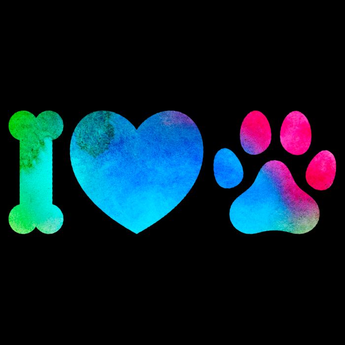 I Love My Dog Paw Print Colorful Wool Snapback Cap