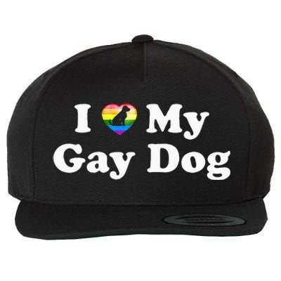 I Love My Gay Dog Heart Funny LGBT Pet Pride Proud Parent Wool Snapback Cap