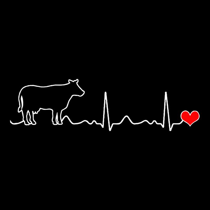 I Love My Cow Valve Ekg Heartbeat Heart Patient Womens T-Shirt