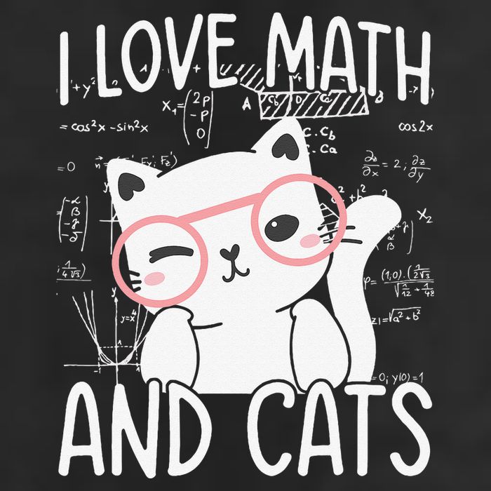 I Love Math And Cats 11oz C Handle Ceramic Mug