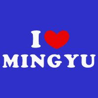 I Love Mingyu I Heart Mingyu Zip Tote Bag