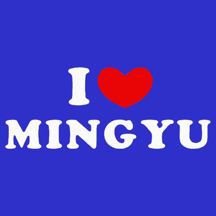 I Love Mingyu I Heart Mingyu Zip Tote Bag