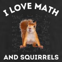 I Love Math And Squirrels Squirrel Lover Algebra Teacher 7 Panel Mesh Trucker Snapback Hat