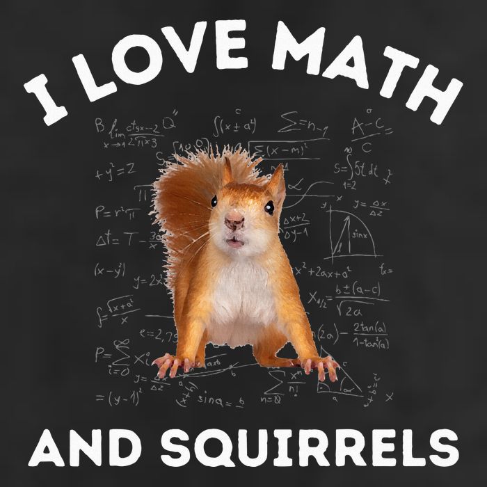 I Love Math And Squirrels Squirrel Lover Algebra Teacher 7 Panel Mesh Trucker Snapback Hat