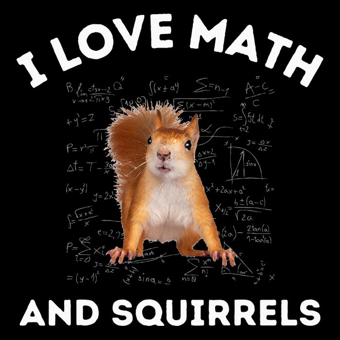 I Love Math And Squirrels Squirrel Lover Algebra Teacher Impact Tech Backpack