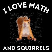 I Love Math And Squirrels Squirrel Lover Algebra Teacher 16 in Basic Backpack