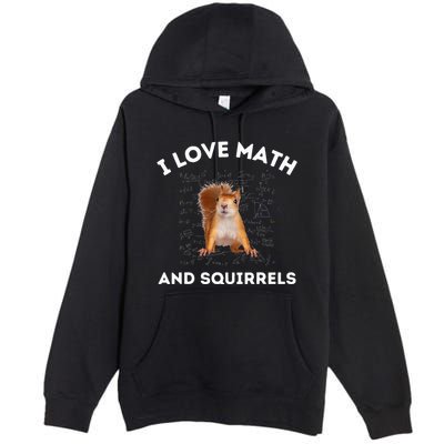 I Love Math And Squirrels Squirrel Lover Algebra Teacher Premium Pullover Hoodie