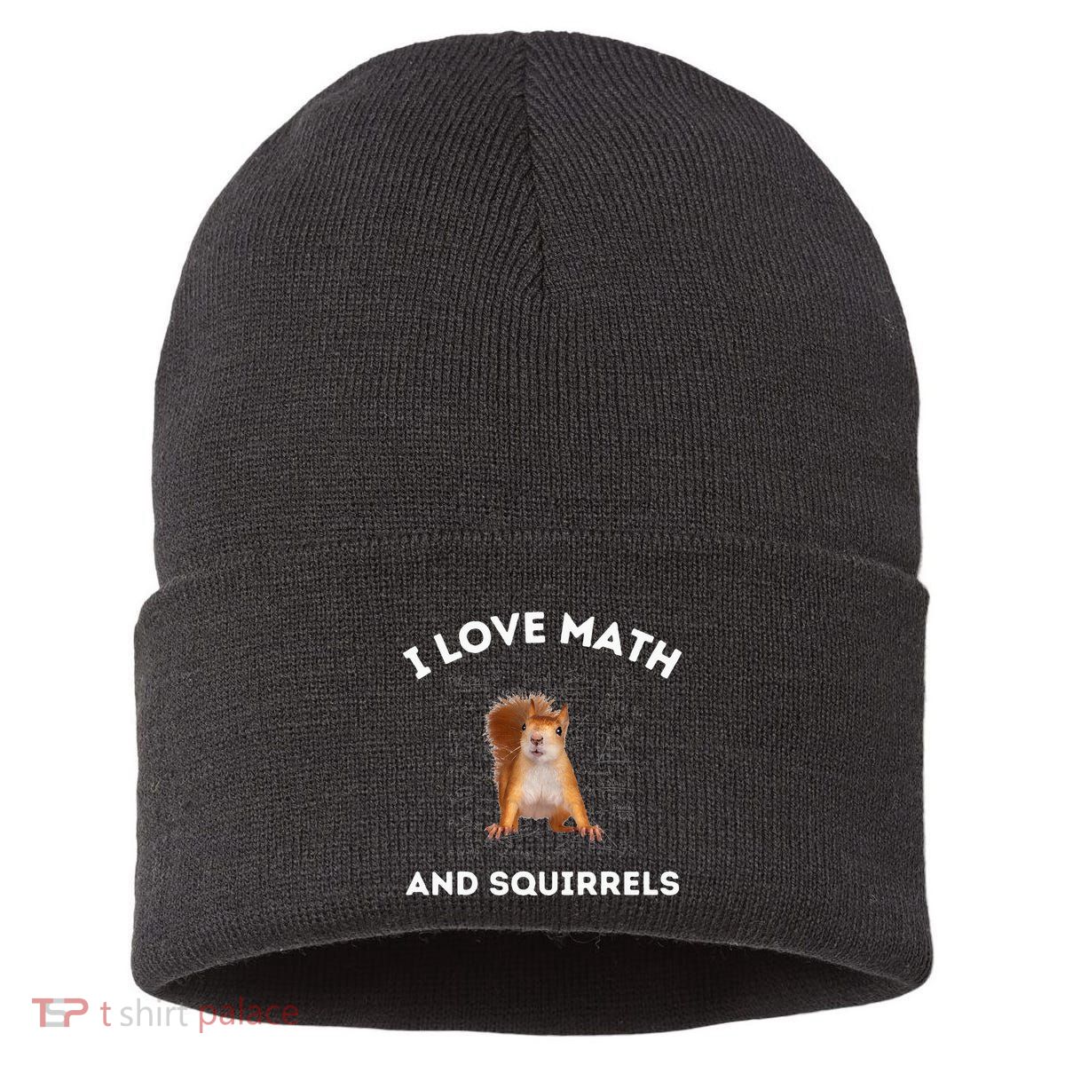 I Love Math And Squirrels Squirrel Lover Algebra Teacher Sustainable Knit Beanie