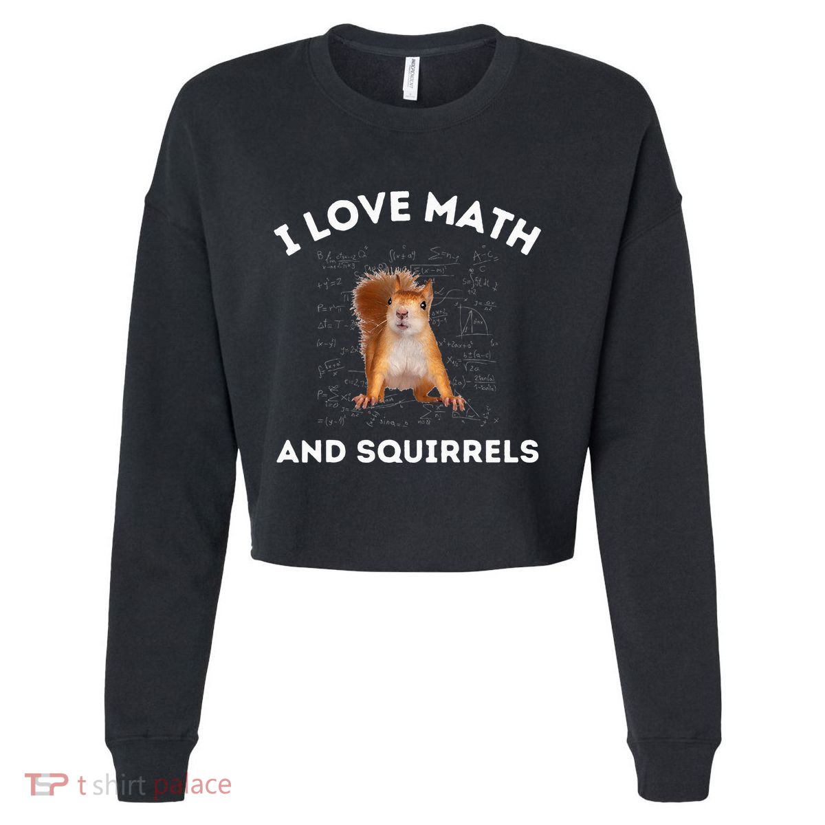 I Love Math And Squirrels Squirrel Lover Algebra Teacher Cropped Pullover Crew