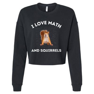 I Love Math And Squirrels Squirrel Lover Algebra Teacher Cropped Pullover Crew