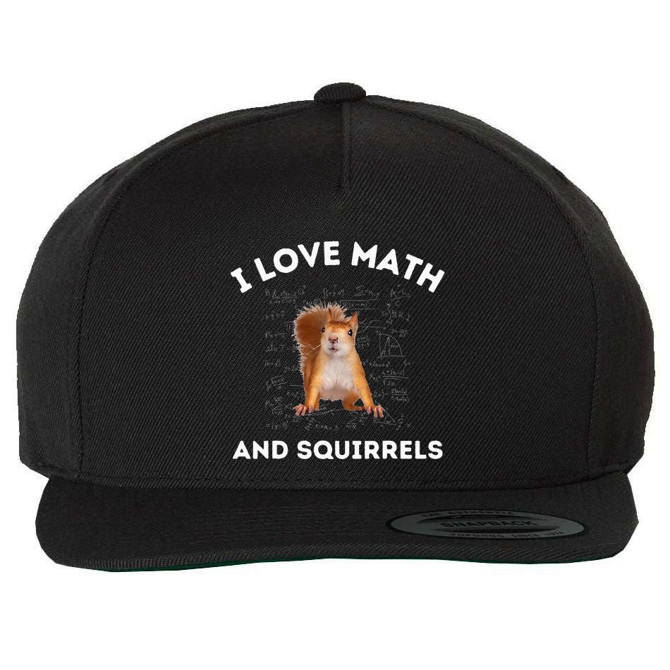 I Love Math And Squirrels Squirrel Lover Algebra Teacher Wool Snapback Cap