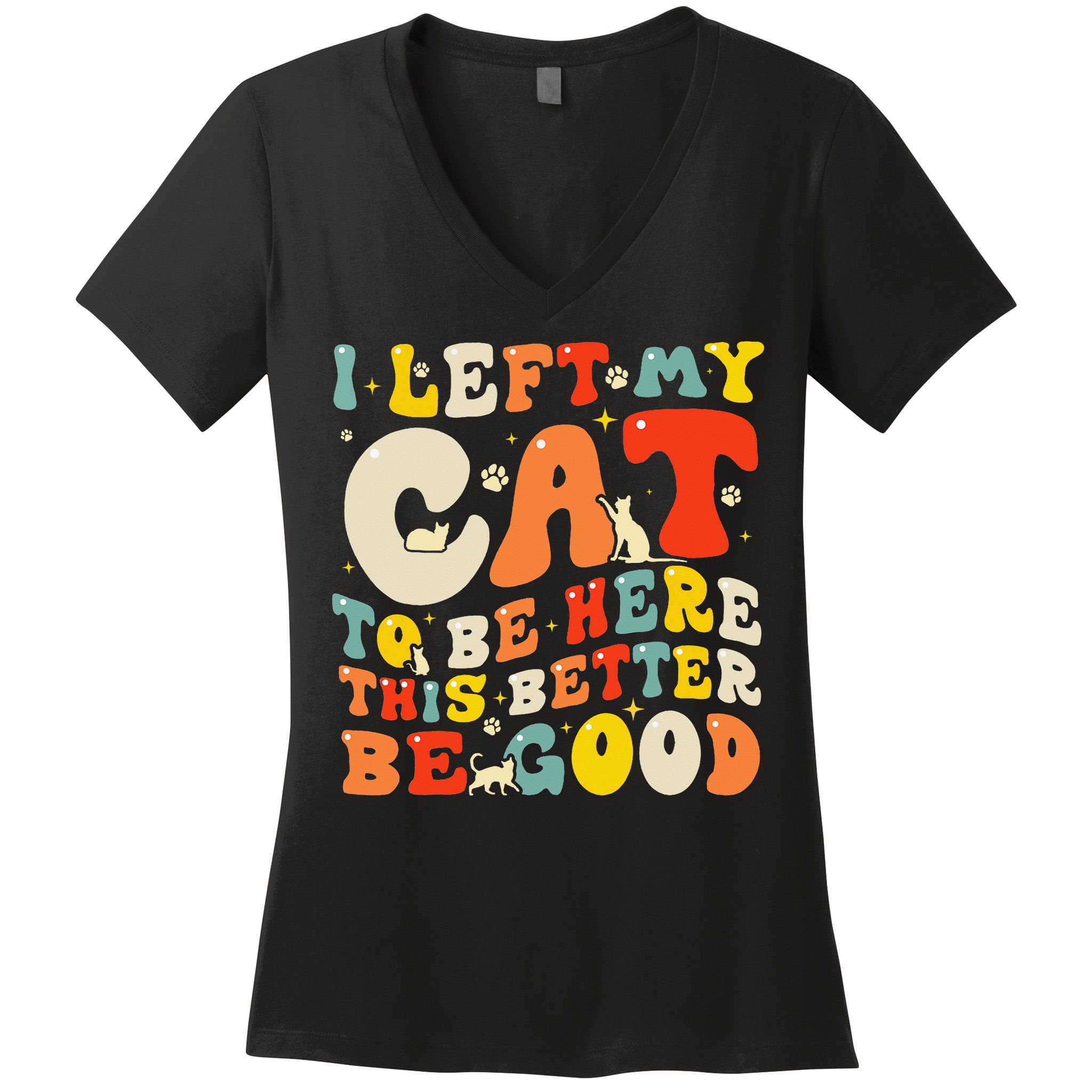 I Left My Cat To Be Here This Better Be Good Women Women's V-Neck T-Shirt