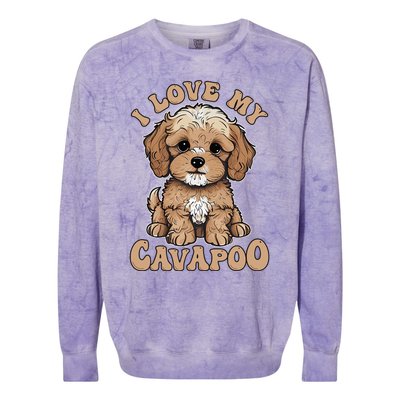 I Love My Cavapoo Dog Lover Cavoodle Owner Colorblast Crewneck Sweatshirt