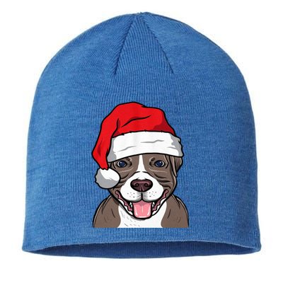 I Love My Pitbull Merry Pitmas Who Loves Pitbull Great Gift Sustainable Beanie