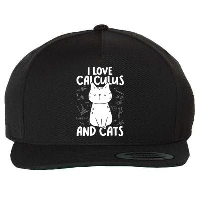 I Love Math And Cats Funny Calculus Meaningful Gift Wool Snapback Cap
