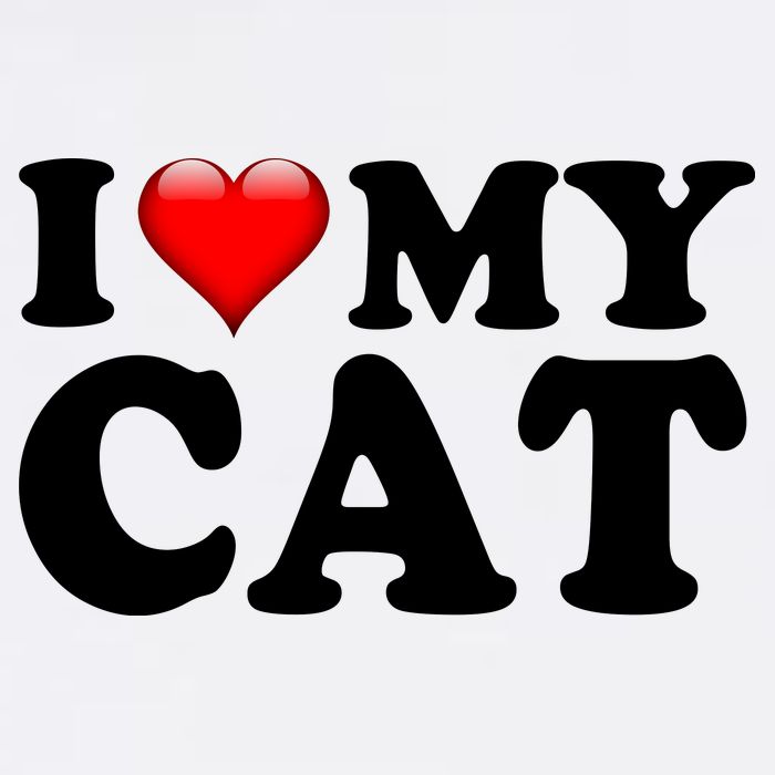 I Love My Cat 11oz C Handle Ceramic Mug