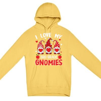 I Love My 3rd Grade Gnomies Cute Valentines Day Teacher Gift Premium Pullover Hoodie