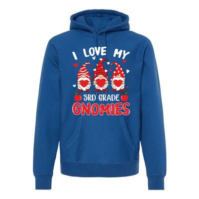 I Love My 3rd Grade Gnomies Cute Valentines Day Teacher Gift Premium Hoodie