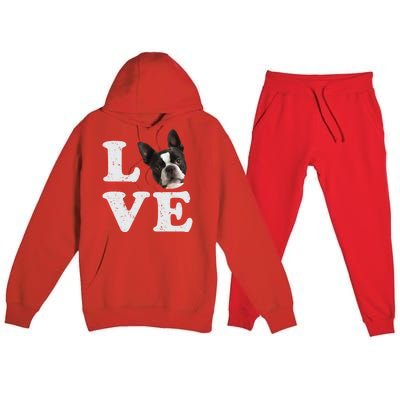 I Love My Boston Terrier Gift Dog Lovers Gift Premium Hooded Sweatsuit Set