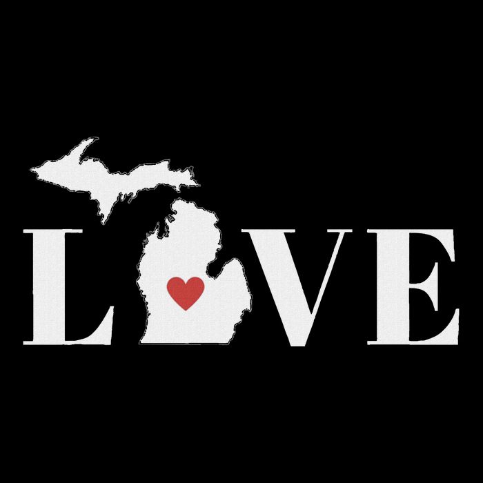 I Love Michigan Wool Snapback Cap