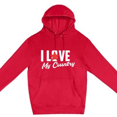 I Love My Country Awesome Freedom 4th Of July Bbq Party Gift Premium Pullover Hoodie