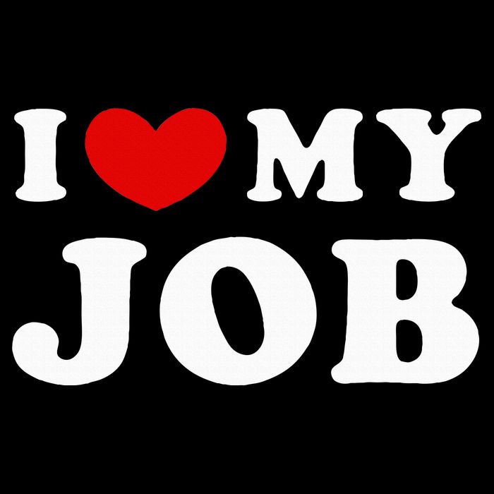 I Love My Job I Heart My Job Apron