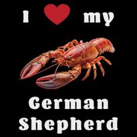 I Love My German Shepherd Swea 16 in Basic Backpack