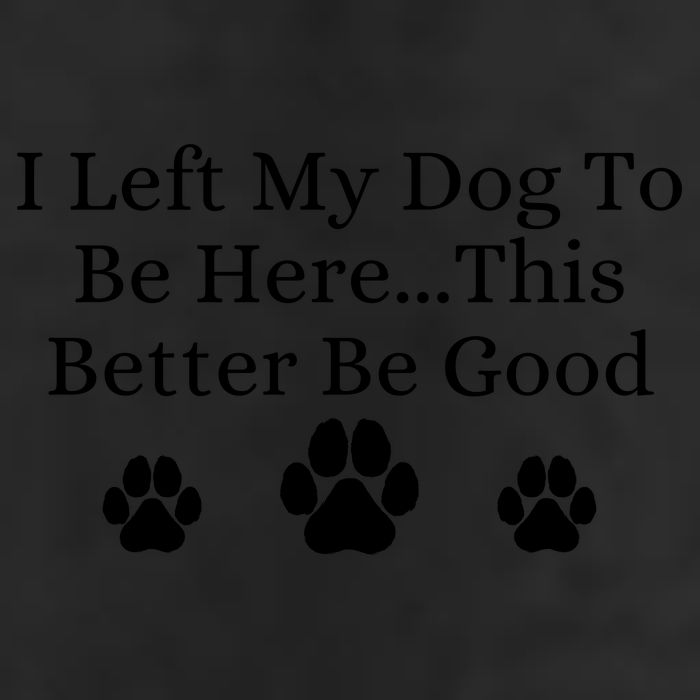 I Left My Dog To Be Here This Better Be Good 7 Panel Mesh Trucker Snapback Hat