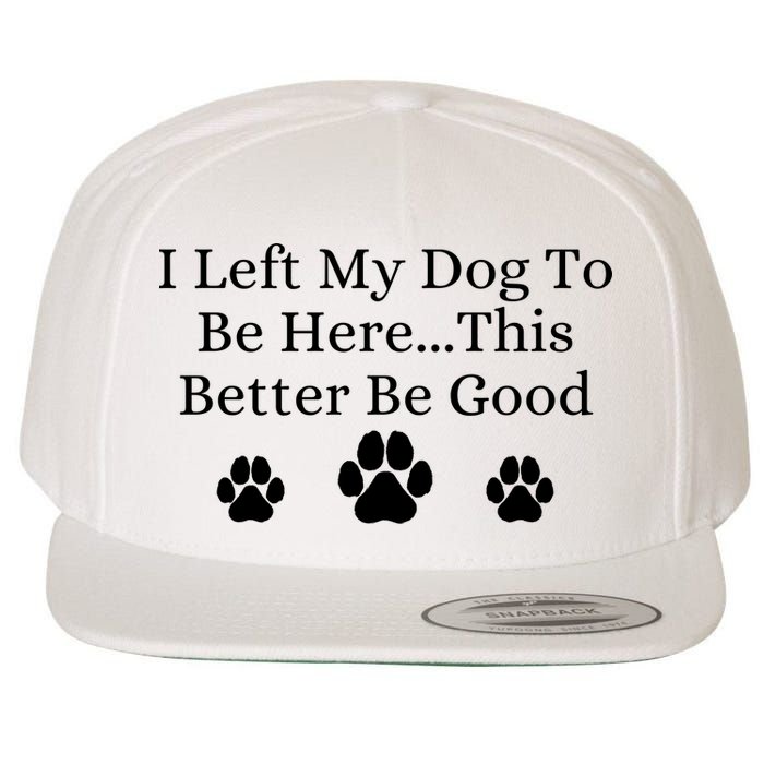 I Left My Dog To Be Here This Better Be Good Wool Snapback Cap
