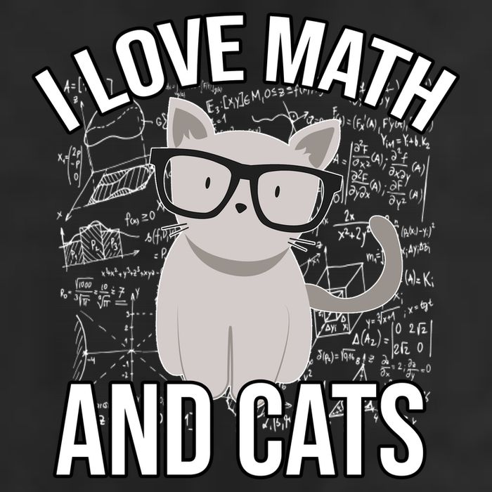 I Love Math And Cats Funny 7 Panel Mesh Trucker Snapback Hat