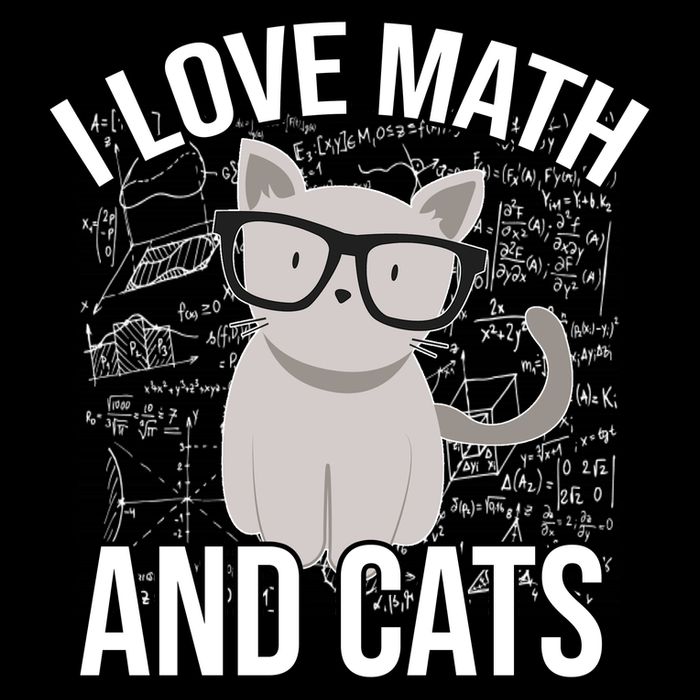 I Love Math And Cats Funny Flatbill Hat