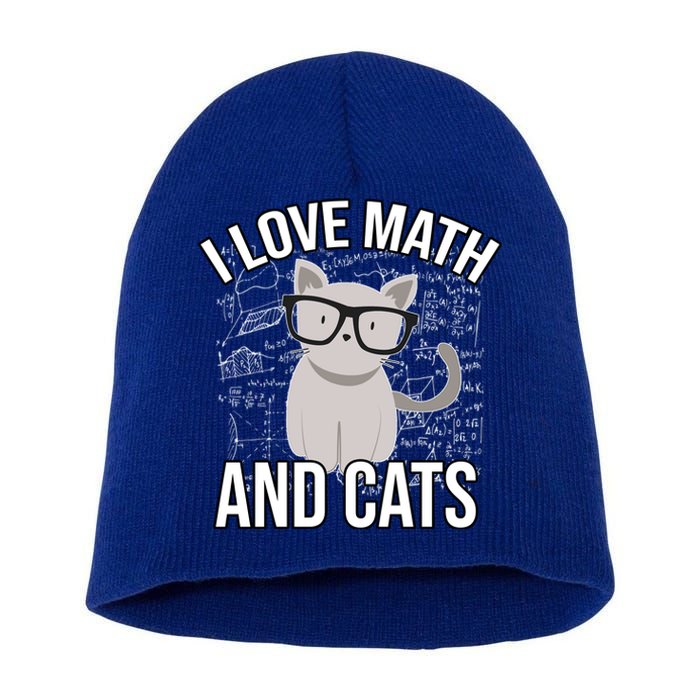 I Love Math And Cats Funny Short Acrylic Beanie