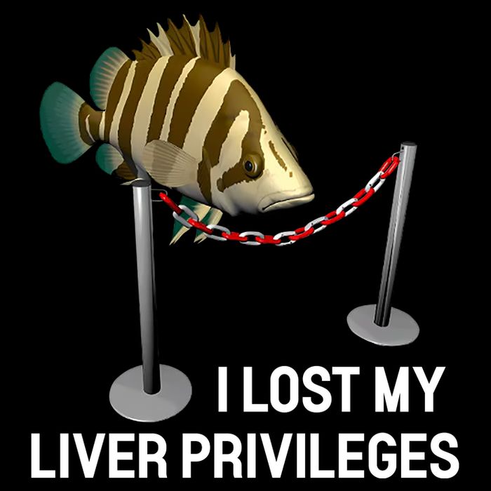 I Lost My Liver Privileges Cursed Fish Funny Fish Meme Wool Snapback Cap
