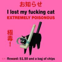 I Lost My Fucking Cat Extremely Poisonous Stripe Pom Pom Beanie