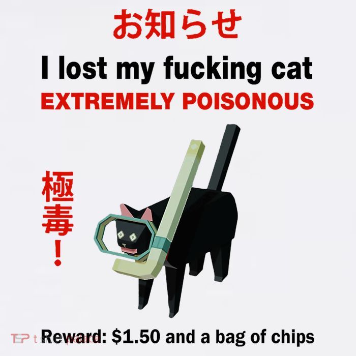 I Lost My Fucking Cat Extremely Poisonous 11oz C Handle Ceramic Mug
