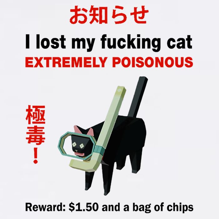 I Lost My Fucking Cat Extremely Poisonous Short Acrylic Beanie
