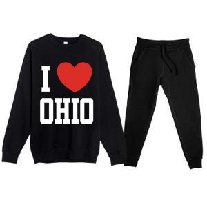 I Love Ohio Loveheart Usa State Cool Gift Premium Crewneck Sweatsuit Set