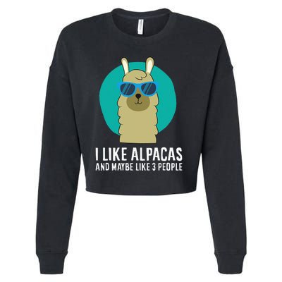 I Like Orcas and Maybe 3 People Orca Killer Whale Retro Cropped Pullover Crew