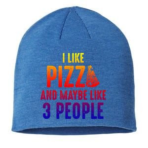 I Like Pizza And Maybe Like 3 People Introvert Cool Gift Sustainable Beanie