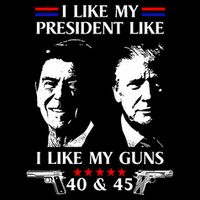 I Like President Like I Like My Guns 40 & 45 16 in Basic Backpack