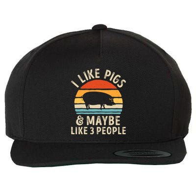 I Like Pigs And Maybe Like 3 People Pig Lover Farmer Retro Wool Snapback Cap
