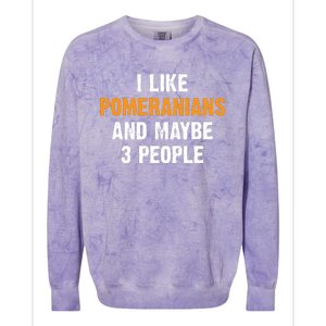 I Like Pomeranians And Maybe 3 People Dog Owner Pomeranian Colorblast Crewneck Sweatshirt