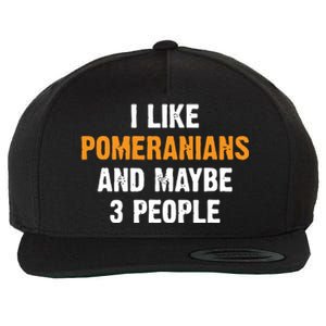 I Like Pomeranians And Maybe 3 People Dog Owner Pomeranian Wool Snapback Cap